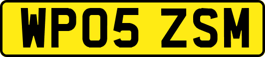 WP05ZSM