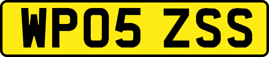 WP05ZSS