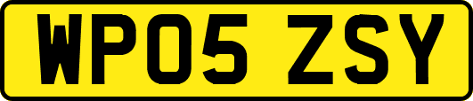 WP05ZSY