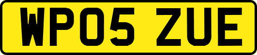 WP05ZUE