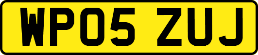 WP05ZUJ