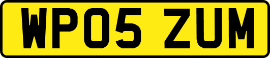 WP05ZUM