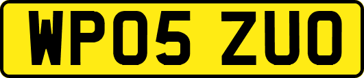WP05ZUO