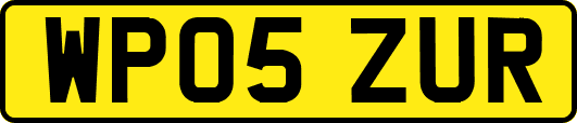 WP05ZUR