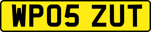 WP05ZUT