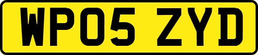 WP05ZYD