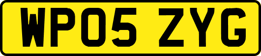 WP05ZYG