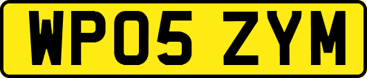 WP05ZYM