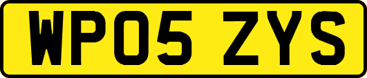 WP05ZYS