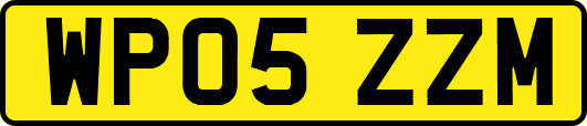 WP05ZZM