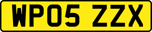WP05ZZX