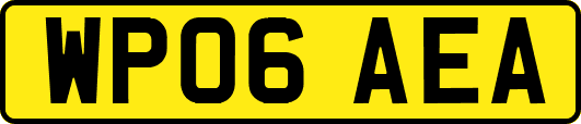 WP06AEA