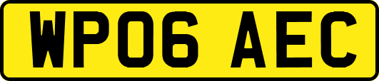 WP06AEC