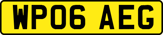 WP06AEG