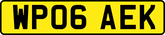 WP06AEK