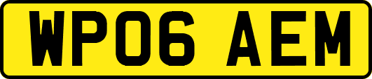 WP06AEM