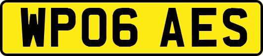 WP06AES
