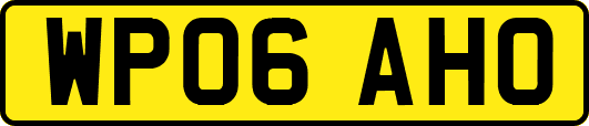 WP06AHO
