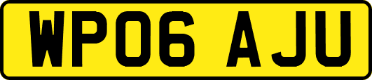 WP06AJU