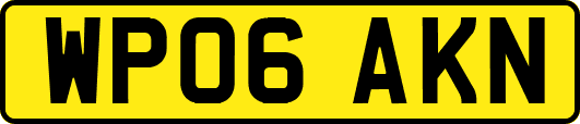 WP06AKN
