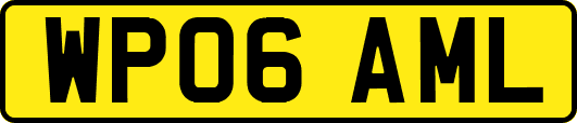 WP06AML