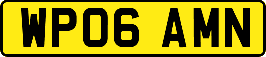 WP06AMN