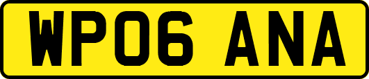 WP06ANA