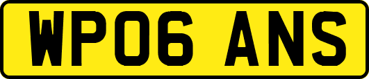 WP06ANS