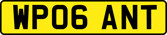 WP06ANT