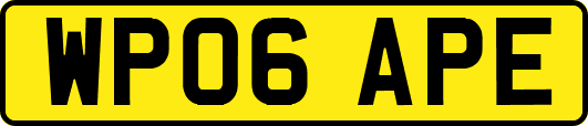WP06APE