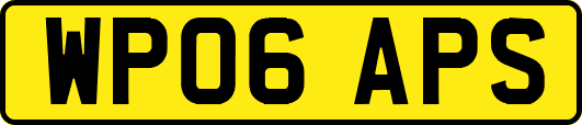 WP06APS