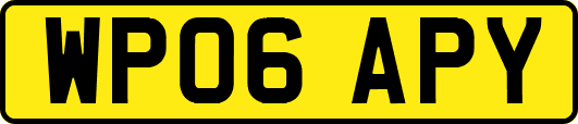 WP06APY