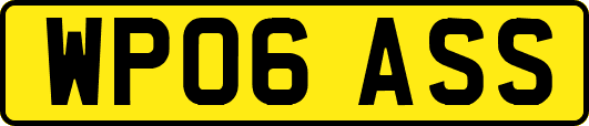WP06ASS