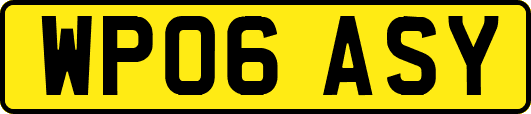 WP06ASY