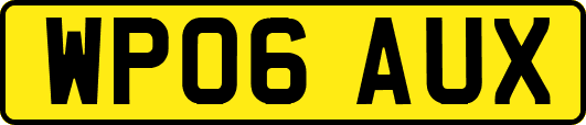 WP06AUX