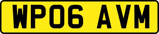 WP06AVM