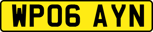 WP06AYN