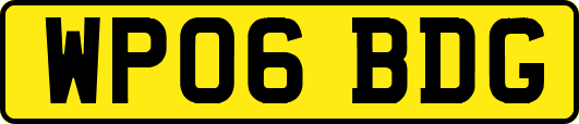 WP06BDG