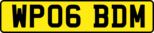 WP06BDM