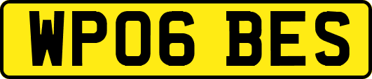 WP06BES