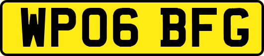 WP06BFG
