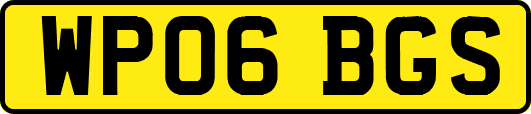 WP06BGS