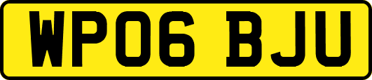 WP06BJU