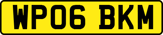 WP06BKM