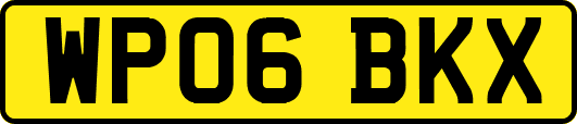 WP06BKX