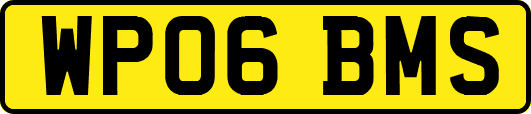 WP06BMS