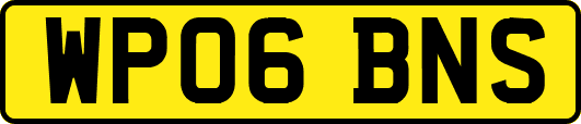 WP06BNS