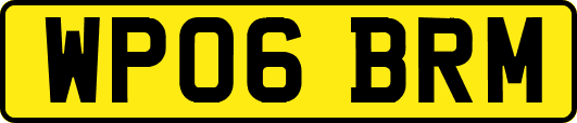 WP06BRM