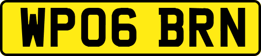 WP06BRN
