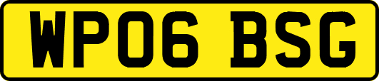 WP06BSG